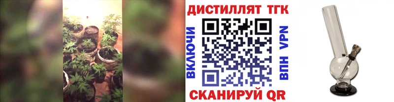 купить закладку  мега   ТГК Wax  Андреаполь 